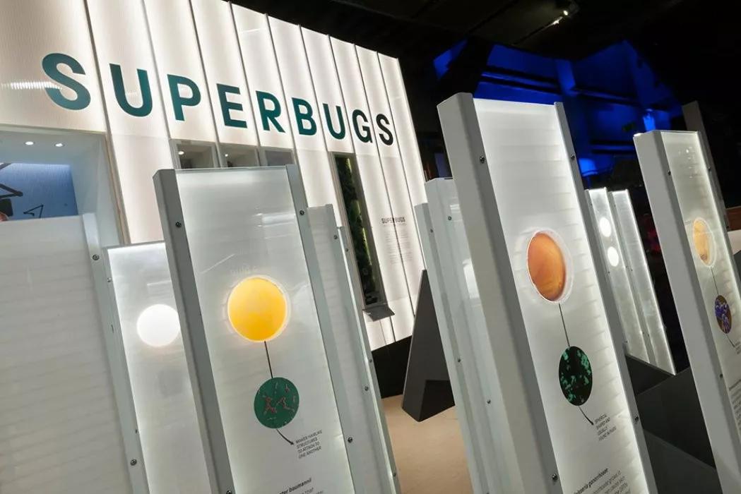 原创专访| 提升国际影响力,英国博物馆自内而外做出哪些改变?