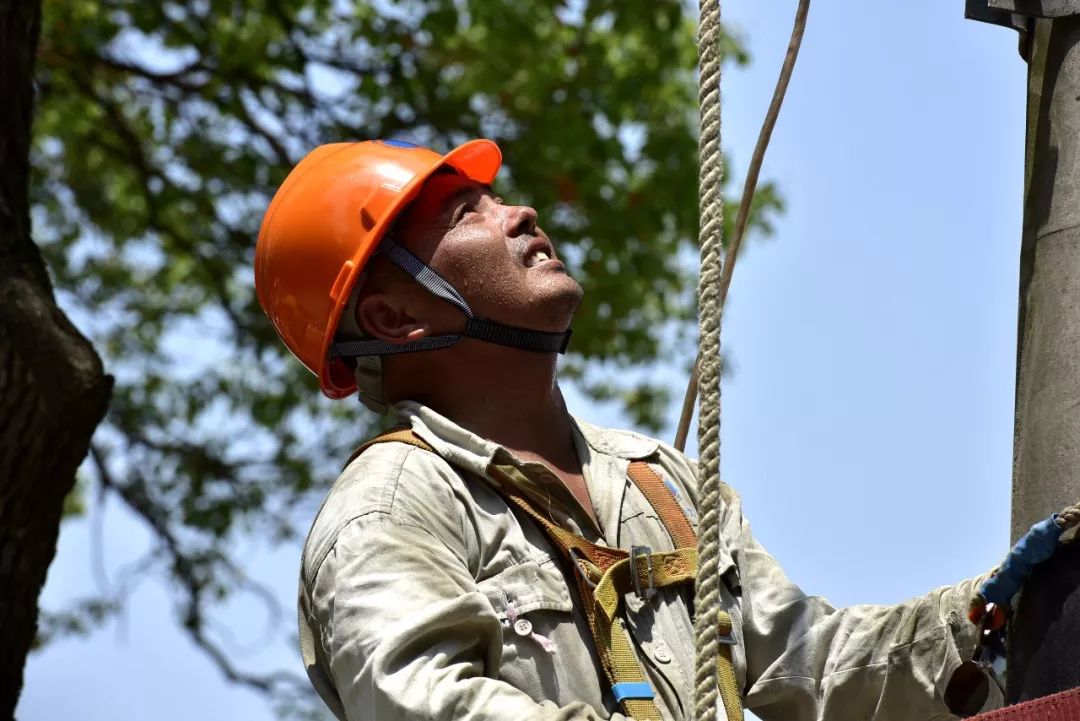 致敬高温下的坚守昆山电力工人挥洒汗水输送清凉