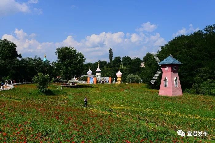 藏在山褶中的动漫花溪谷
