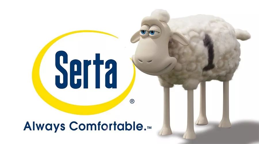 进击的绵羊舒达在美国为何如此火爆