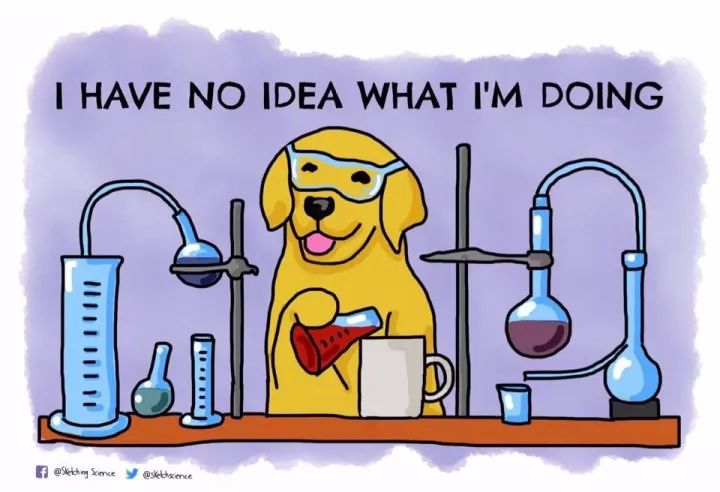 前方高能据说这是每一个科研狗的真实经历