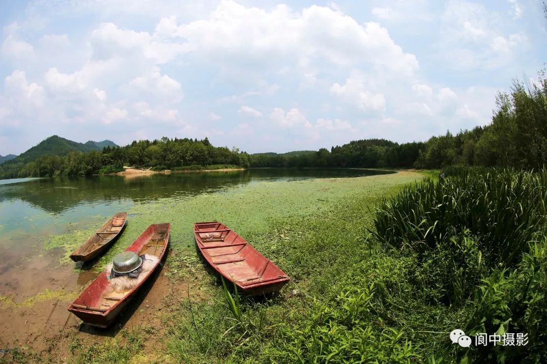 美不美家鄉水構溪河國家溼地公園最美的圖片你見過嗎