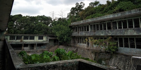 香港达德小学猛鬼图片图片