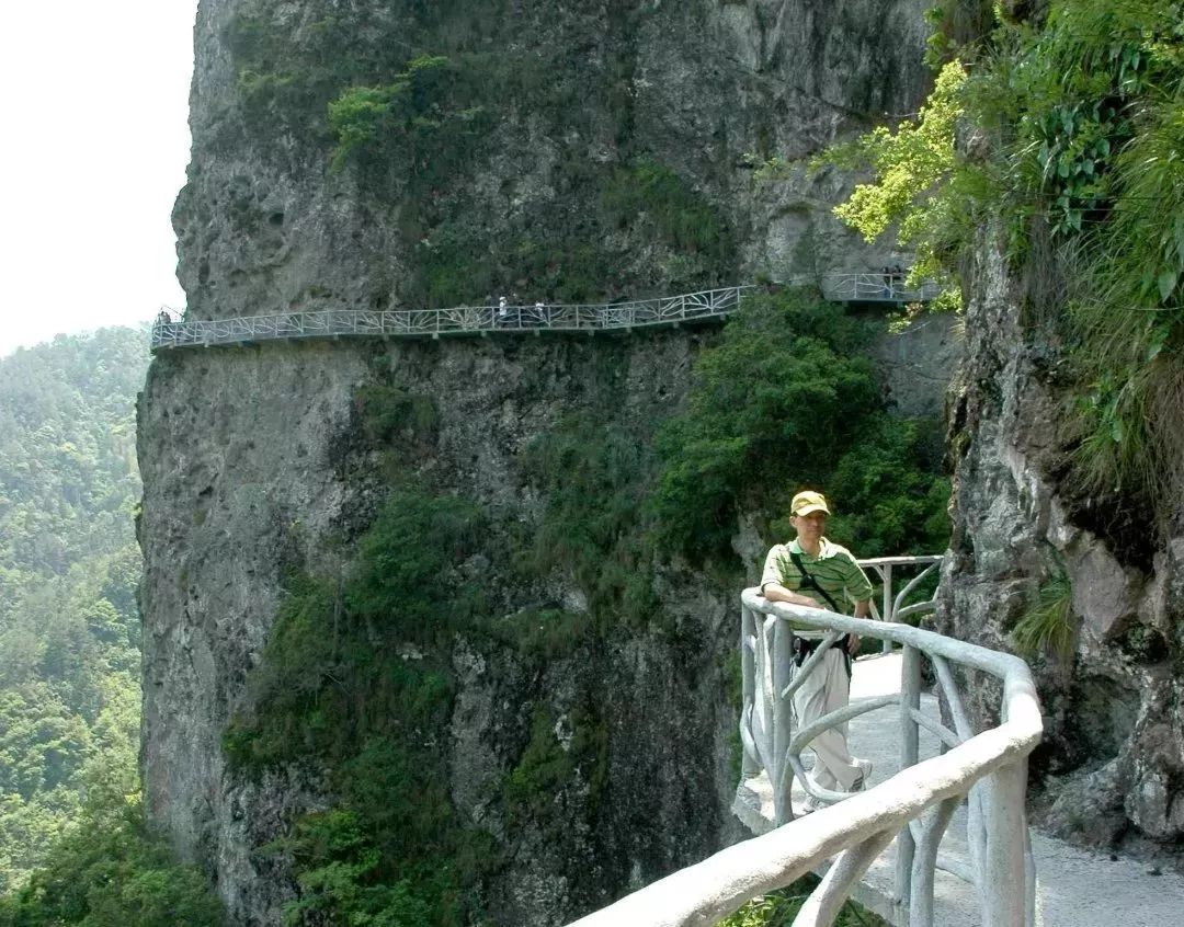 玩水天堂消暑之旅福建白水洋鴛鴦溪2日遊8月6日8月10日各一班