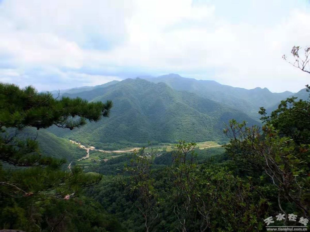 山高人为峰天水民间文学研究会走进李子园森林公园采风行