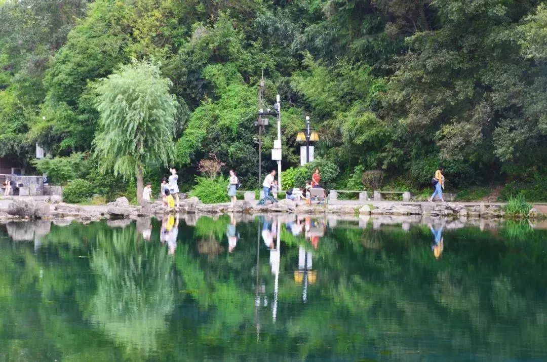 8月1日當天 珍珠泉景區大門票,動物園 免費向遊客開放!