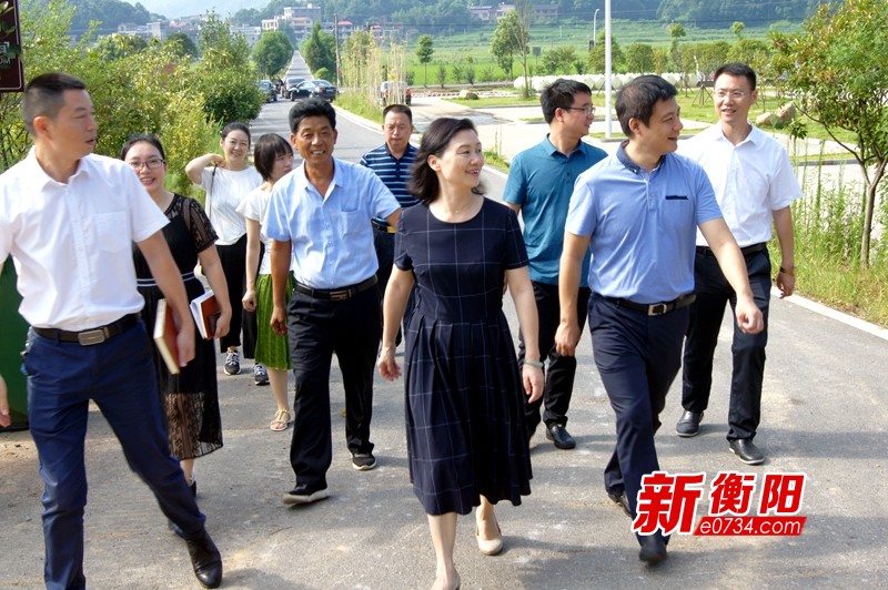 衡阳市商粮局乡村振兴工作队为华山村发展支招