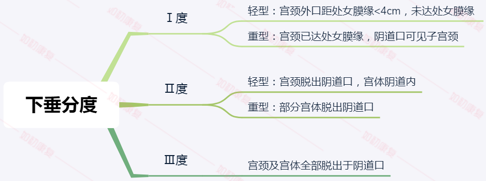 阴道膨出子宫下垂了几厘米属于什么程度几张图片告诉你