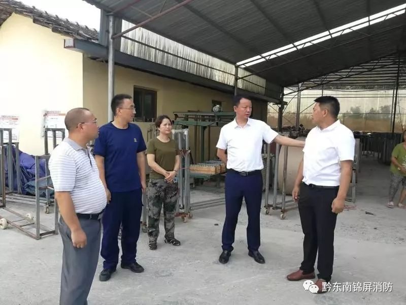 锦屏县常务副县长向国强率队深入隆里古建筑群开展风险隐患大排查整治