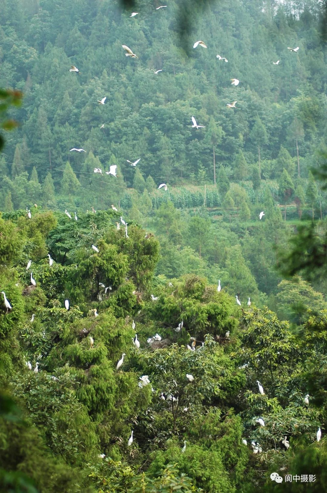 美不美家乡水构溪河国家湿地公园最美的图片你见过吗