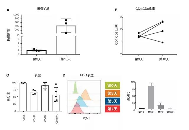 细说CART | 用Gibco CTS Dynabeads CD3/CD28一步分离和激活初始及早期记忆T细胞-搜狐大视野-搜狐新闻