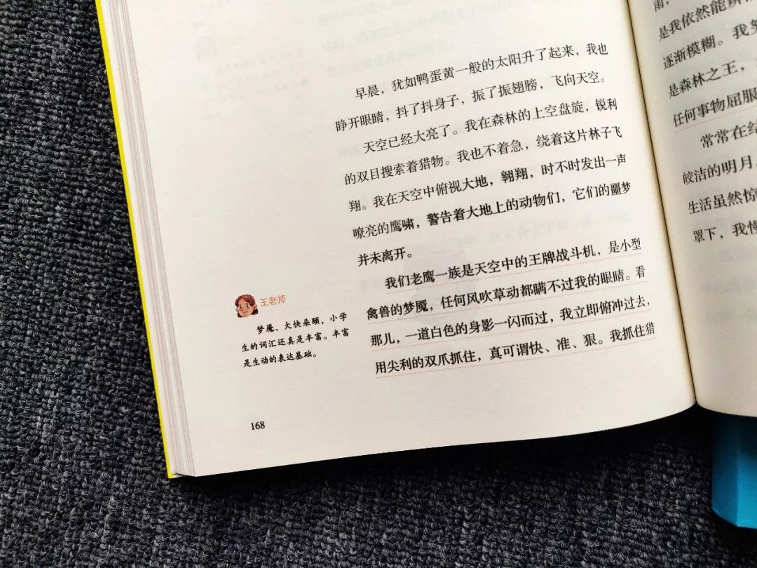 一個暑假,孩子的作文成績提高了20分,只讀了這本書!