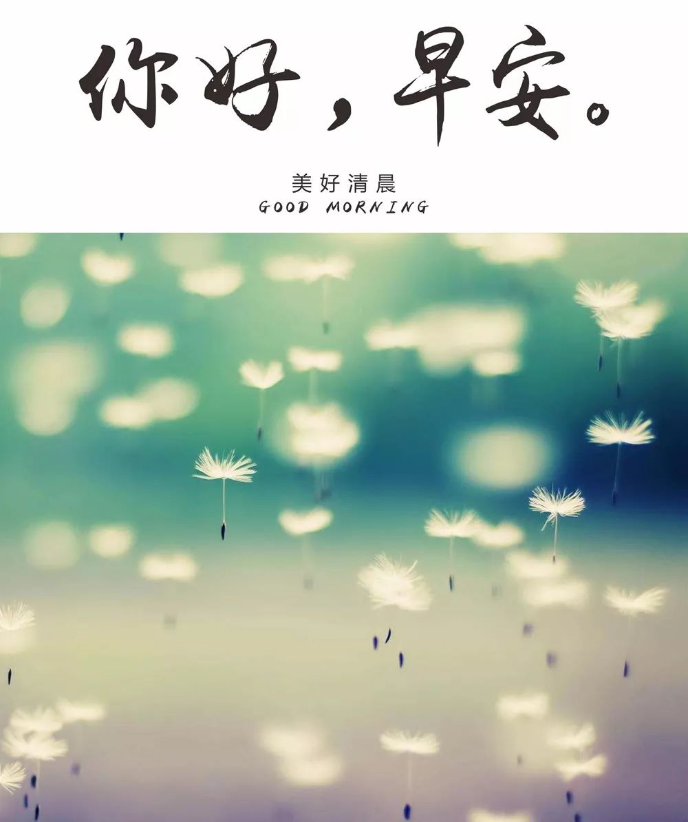 腾辉传媒早安心语人之所以能是相信能