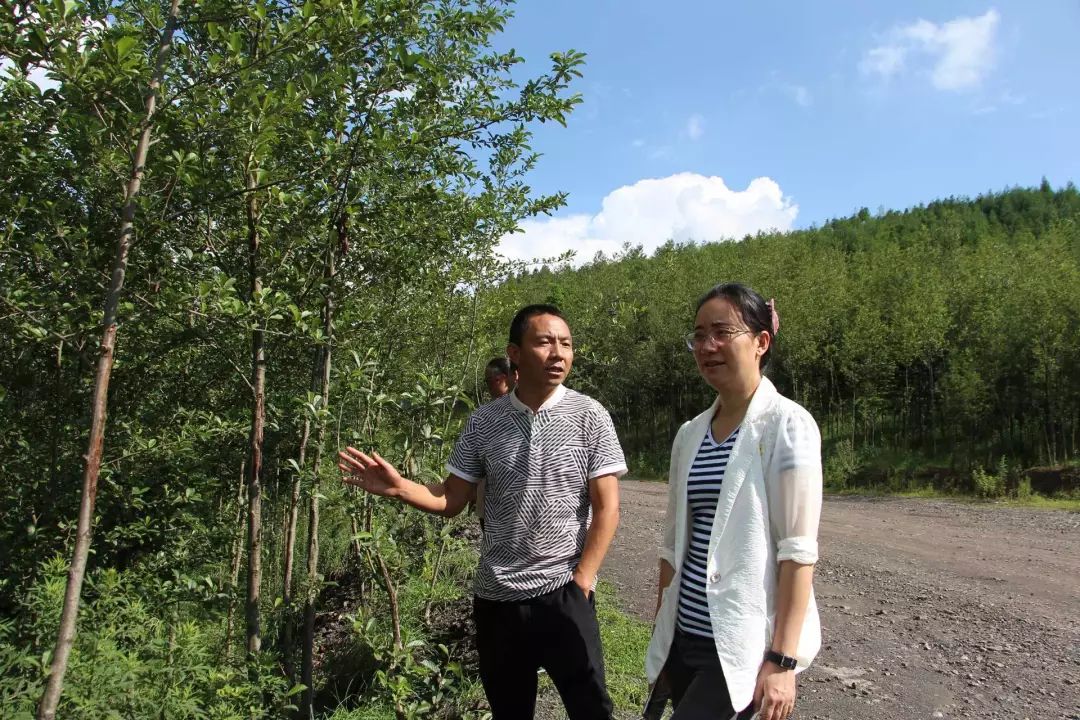 泸西新坝村苟云生图片