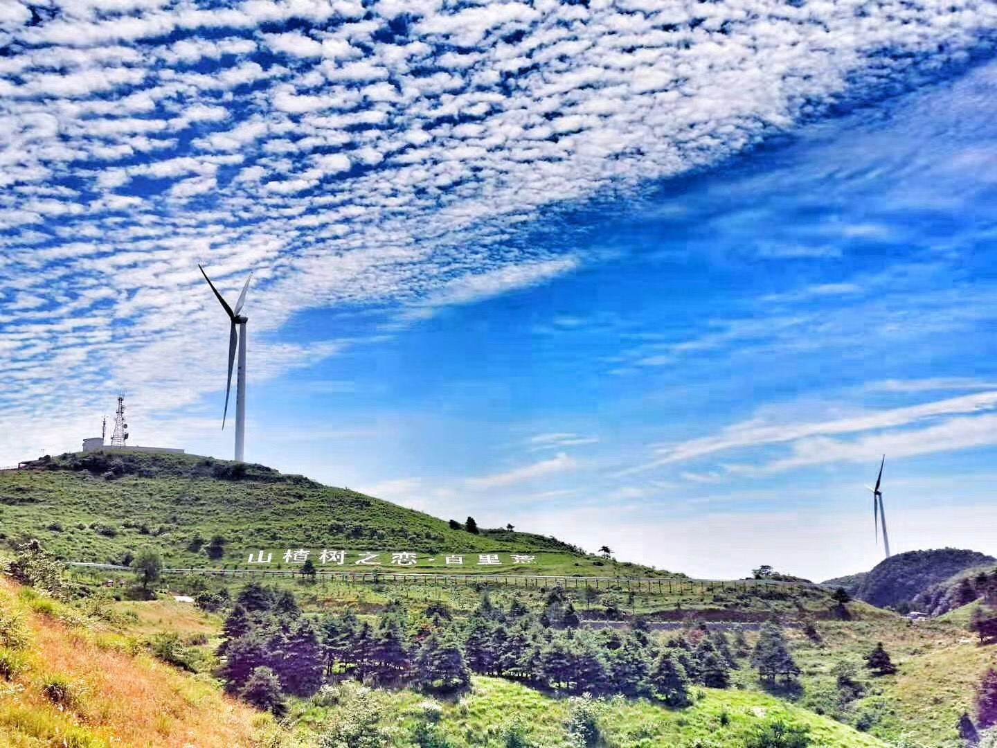 在海拔一千三百米的三峡草原上百里荒景区开了家爆款的凉品铺子