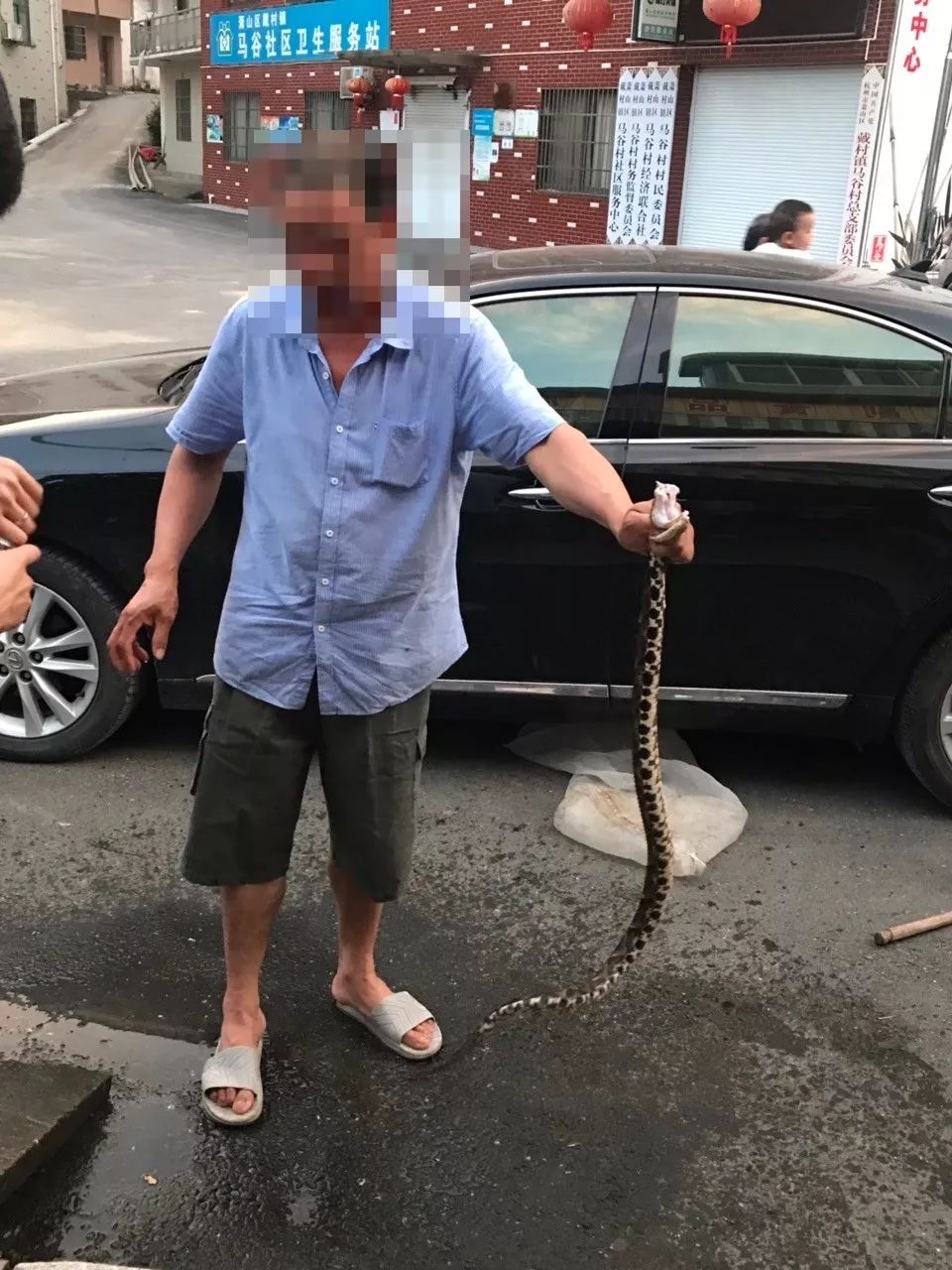 浙江男子抓了一条蛇晒图后评论炸了