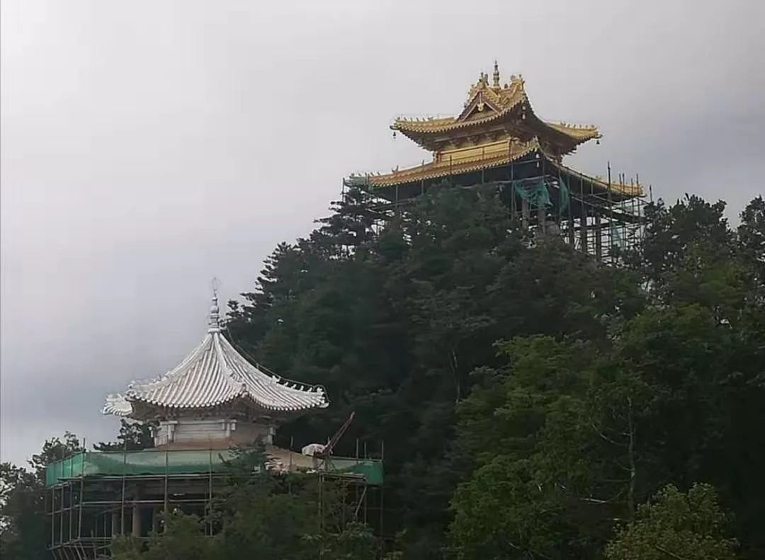 山高人为峰天水民间文学研究会走进李子园森林公园采风行