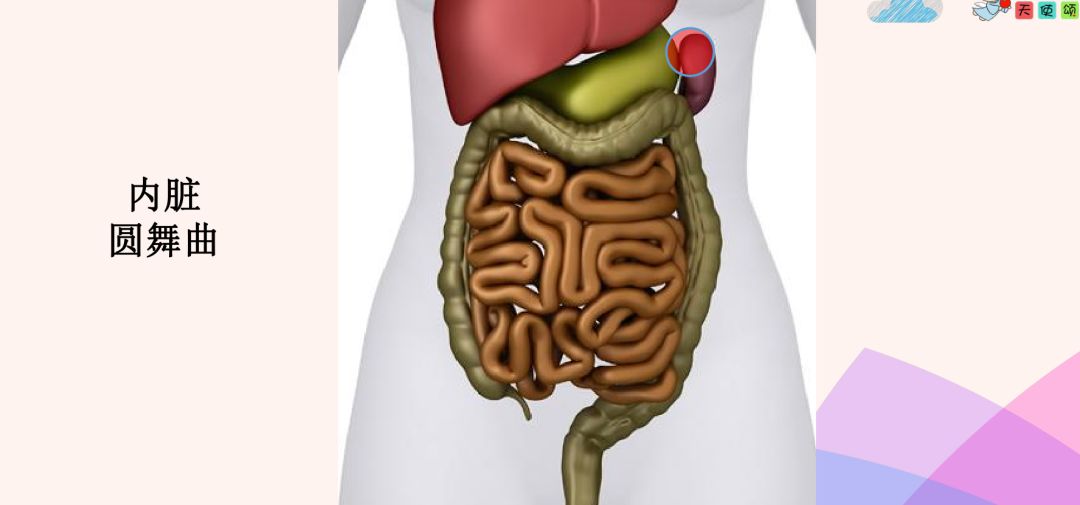 每节课大家都要学习不同内脏的位置,功能,孕期的变化,如何修复,着实烧