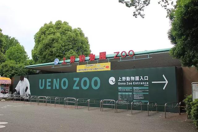 论动物园插画海报中国败了