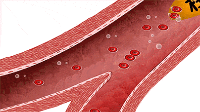 血液循环流动动图图片