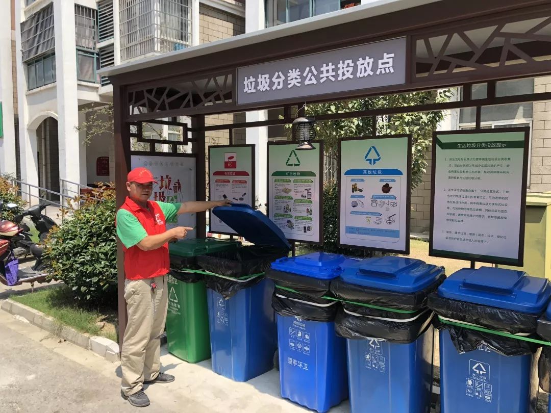 今天,你带头分类了吗?_垃圾