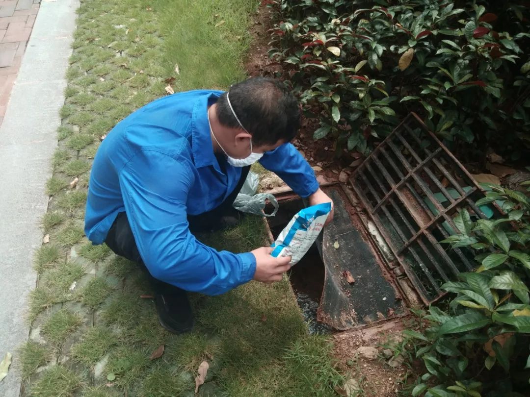 为了减少植物病虫除害,降低"四害"的密度,美化小区居住生活,给广大