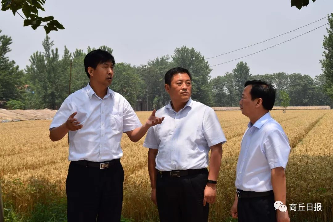 自由勋章,一级解放勋章,1955年被授予少将军衔的开国将军孙端夫的故乡