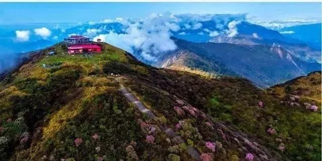 漂流戏水美食你能想到的消夏方式都在这里