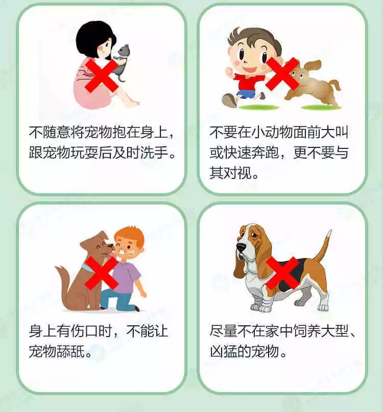 小猫小狗会伤人图片图片