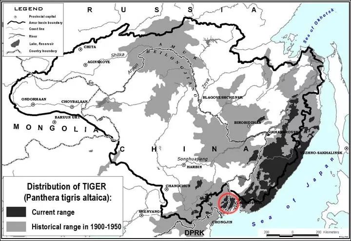 孟加拉虎中国分布图图片