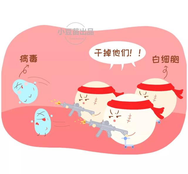 让人懵圈的血常规化验单,3分钟教你看懂_白细胞