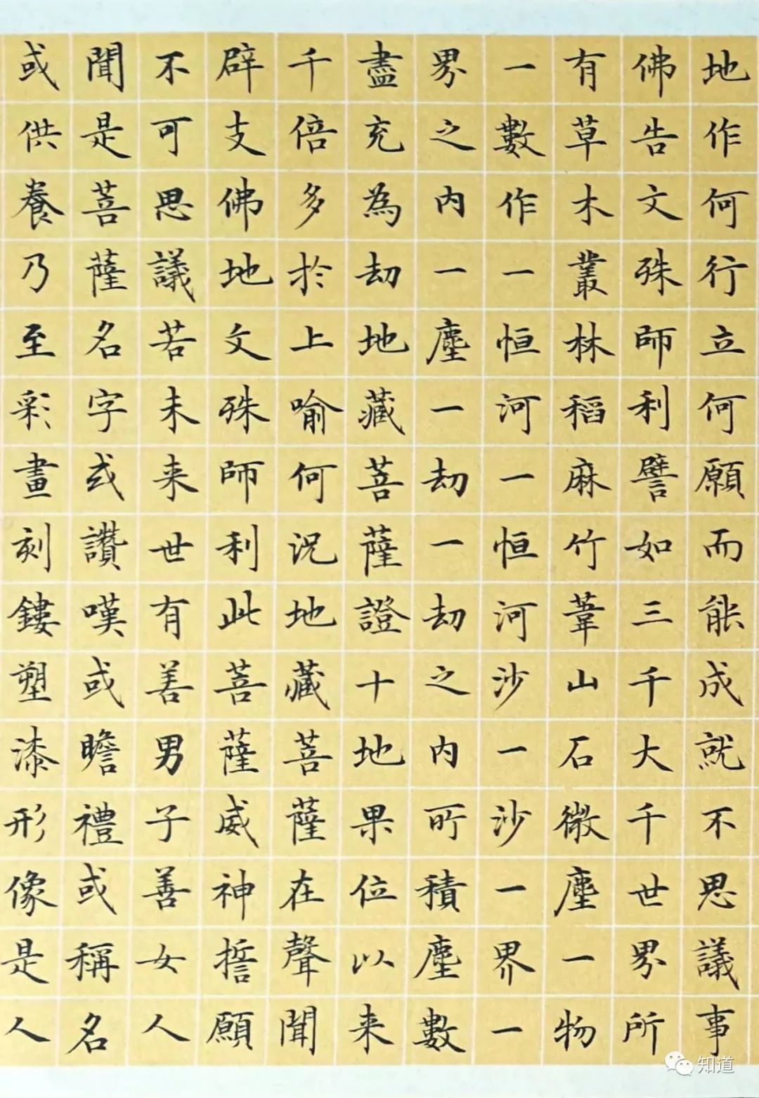 佛告文殊师利「譬如三千大千世界所有草木丛林,稻麻竹苇,山石微尘