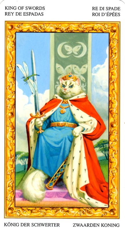 栾叔塔罗牌占卜:塔罗测那个与你有缘的是男人还是男孩?_对象