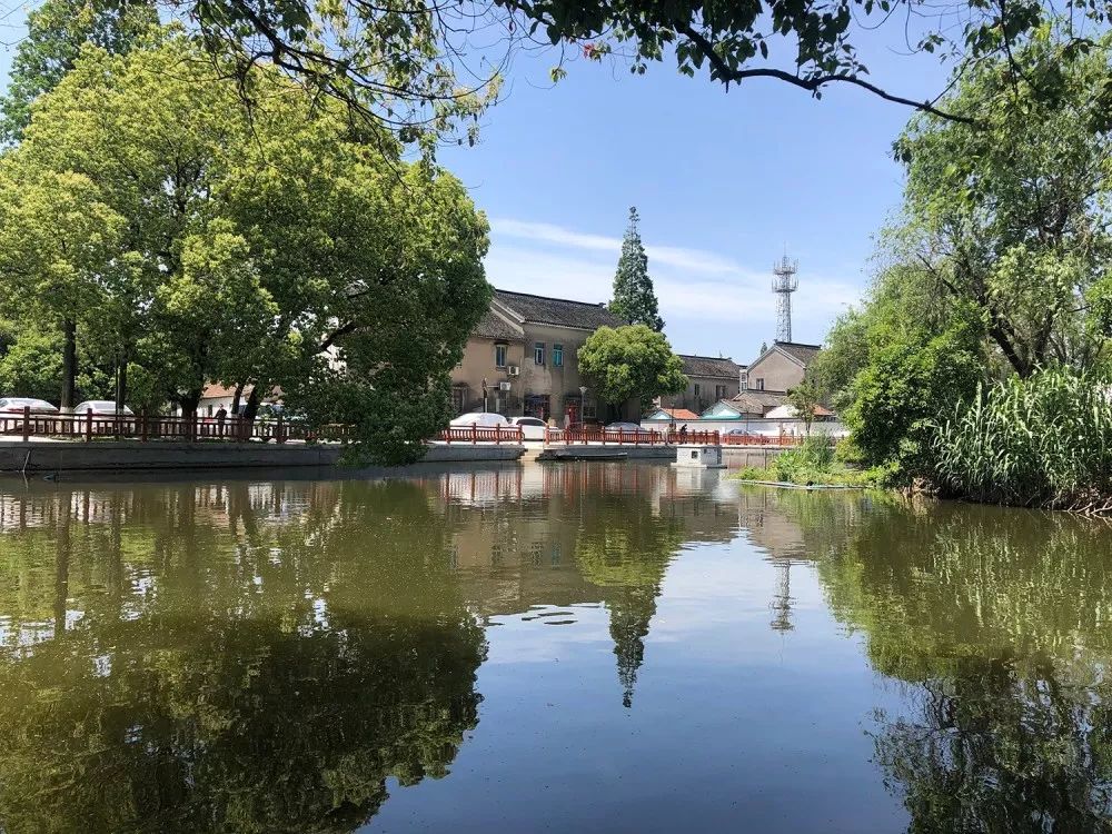 美丽张浦忍不住看你看张浦宝觉河如何变身