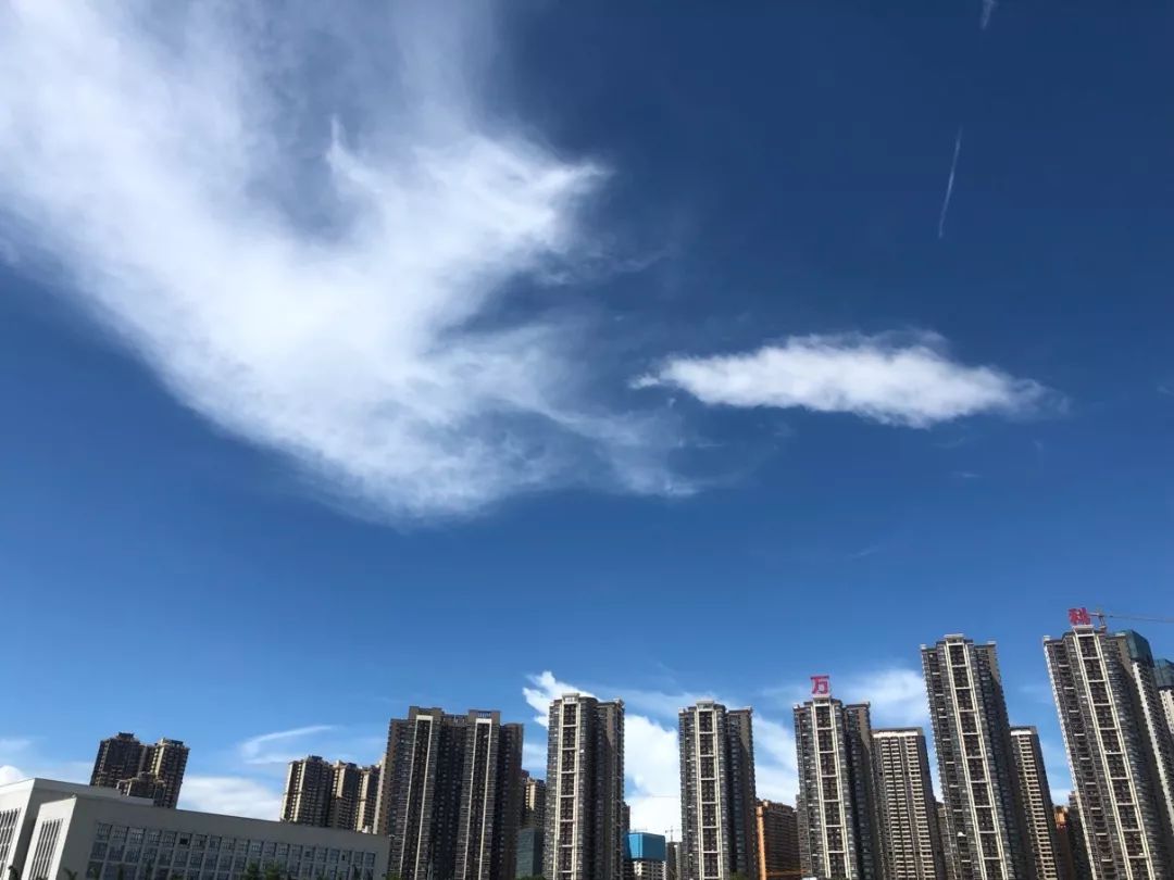 白天发朋友圈的,发朋友圈的图片,发朋友圈的句子_大山谷图库