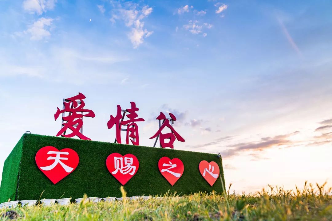 独家私享【呼伦贝尔爱情谷】,深入极北浪漫秘境,登山地草原至高点一览