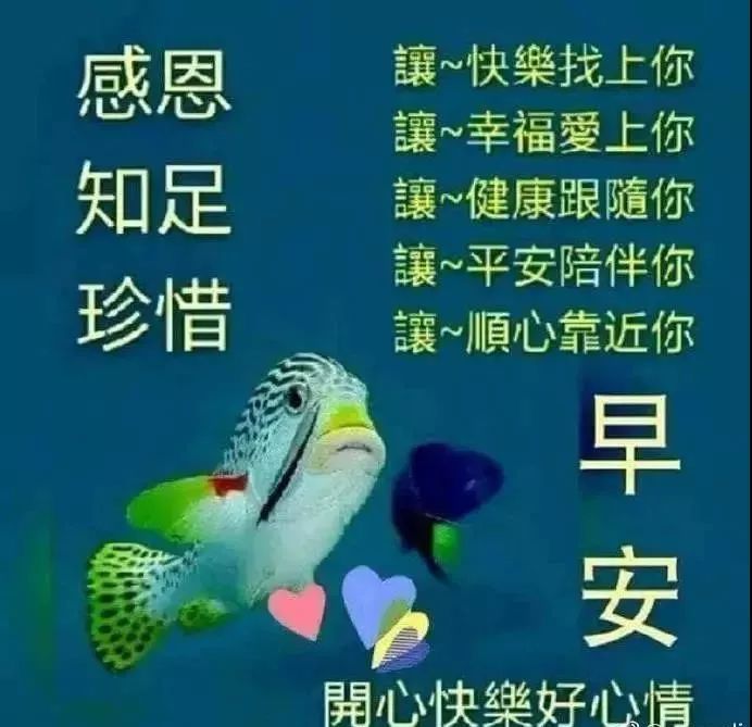 7月31日星期三早上好问候语图片早上好祝福语阳光句子