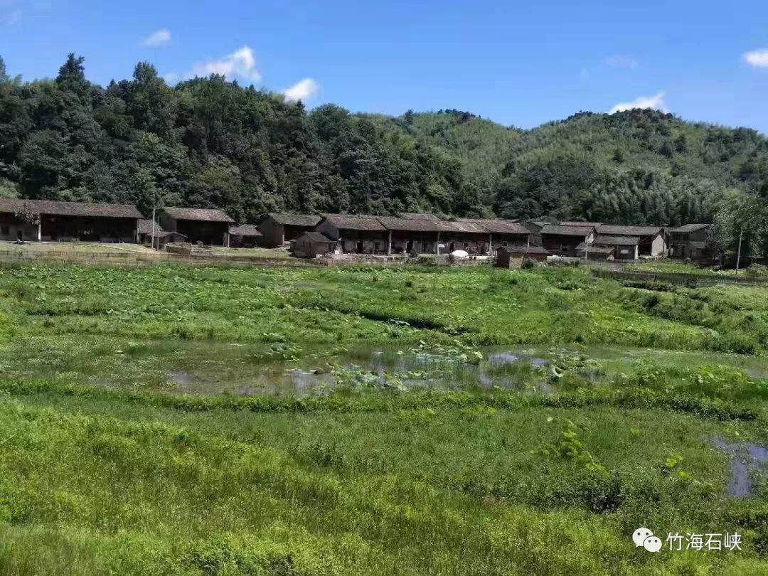 2019年,在乡党委,政府前期的积极规划下,云溪村结合自身优势,利用脱贫