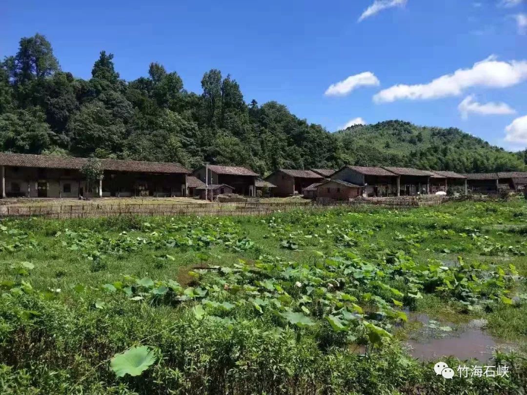 2019年,在乡党委,政府前期的积极规划下,云溪村结合自身优势,利用脱贫
