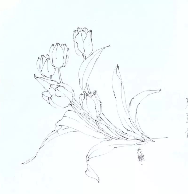 在诗经里面有一种植物叫【棠棣】,但是和【棣棠】是完全不同的植物哦