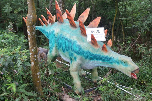 周日8月4日￥160石龙谷森林公园新项目酷炫来袭奇幻世