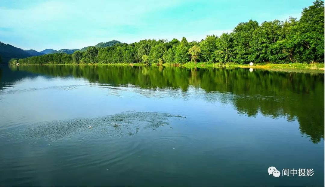 美不美家乡水构溪河国家湿地公园最美的图片你见过吗