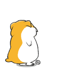240_240gif 动态图 动图