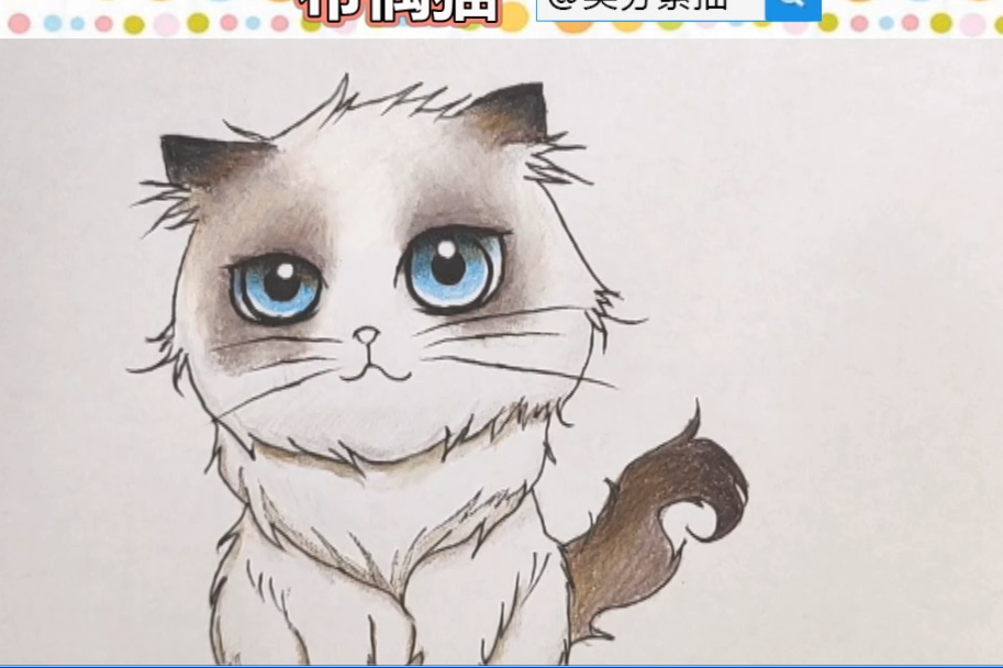 彩铅入门教程之布偶猫彩铅画法步骤介绍!可爱小动物猫咪彩铅视频