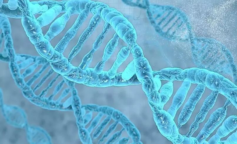 国际基因工程机器大赛教育与公众参与活动游园会周日开启