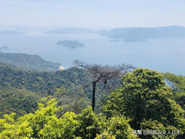 原创弥山一座有着神奇的景观神奇的自然神奇的传说的世界遗产