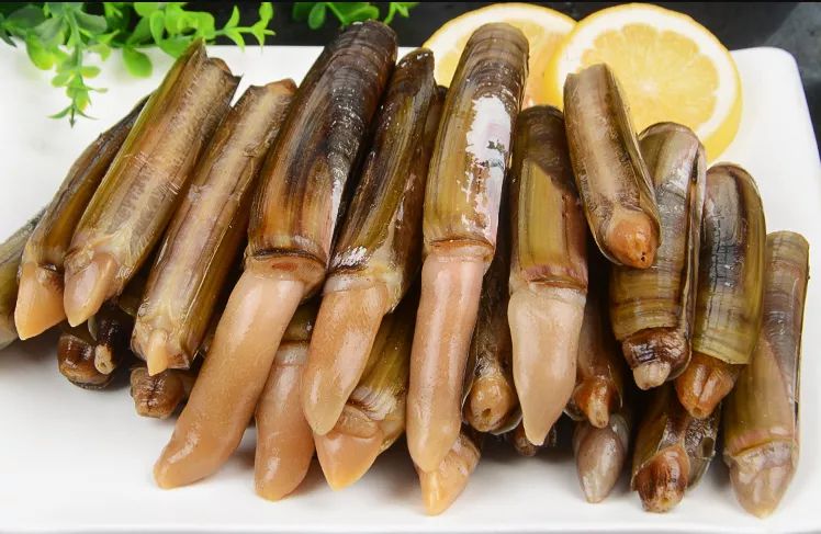 海鲜中的"孩子王",8月盛产,又鲜又嫩,吃起来真过瘾!_蛏子