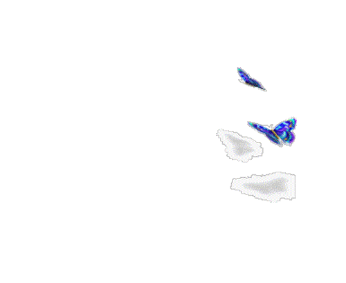 500_409gif 动态图 动图