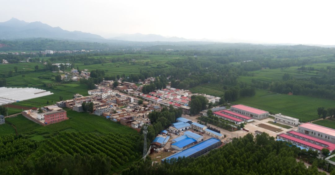 寻找最美乡村枣园村产业兴旺焕发乡村活力