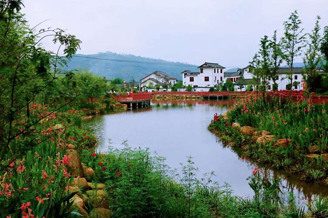千年雅溪古村景区图片